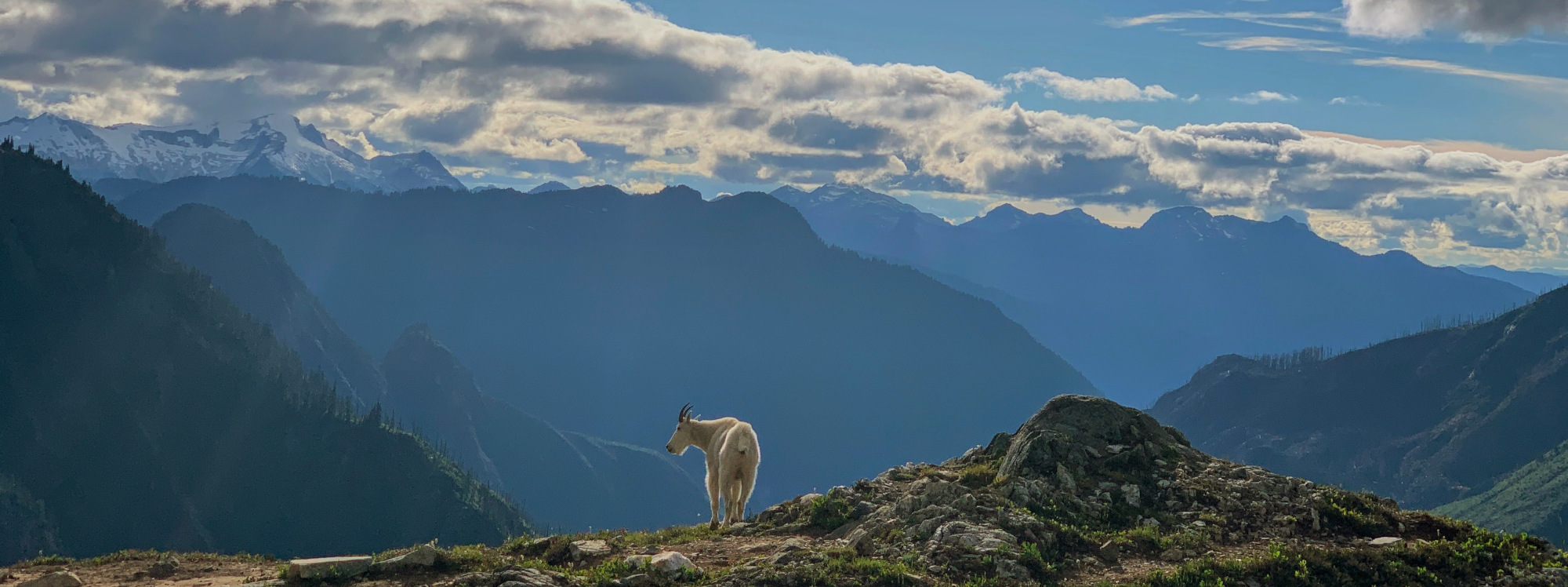 North Cascades - Ptarmigan Loop